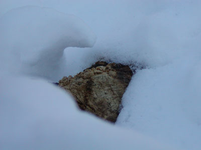 snow, wood