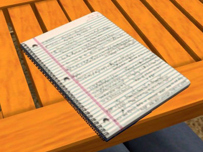 A SimNotebook